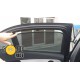 Cortinillas Parasoles del coche Mercedes-Benz W205 Clase C Berlina (2014-)