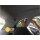 Cortinas Tapa Sol Audi Q5 II  2017 -