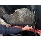 Tendine parasole oscuranti su misura Renault Twingo III / E-Tech Electric (dal 2014)